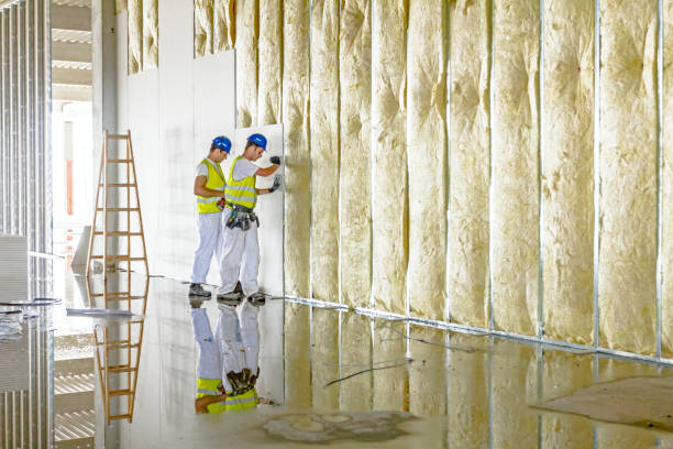 Best Insulation Maintenance and Repair in Mohnton, PA
